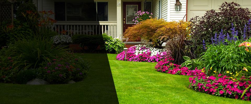 Colfax Landscapers